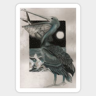 Pelicans We Sticker